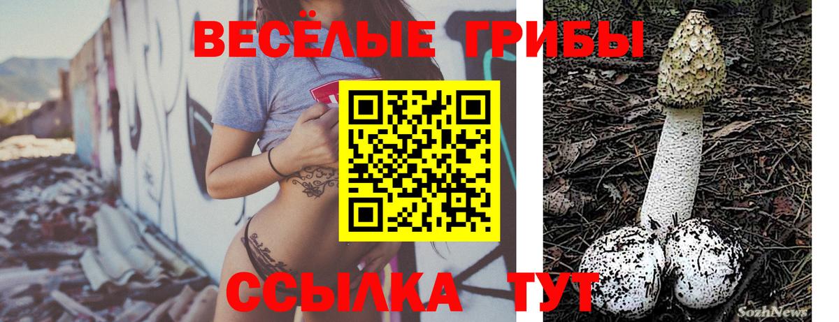 Псилоцибиновые грибы GOLDEN TEACHER Сосновоборск
